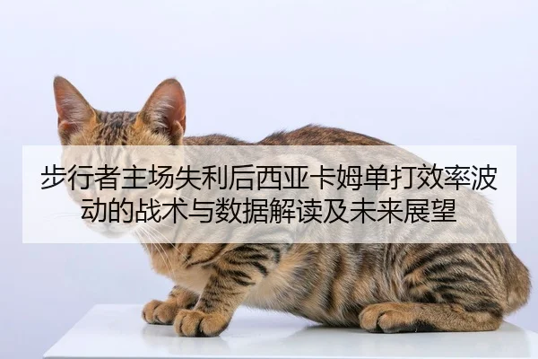 bu-xing-zhe-zhu-chang-shi-li-hou-xi-ya-ka-mu-dan-da-xiao-lv-bo-dong-de-zhan-shu-yu-shu-ju-jie-du-ji-wei-lai-zhan-wang-2-512.jpg