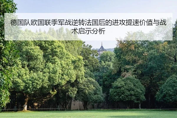 de-guo-dui-ou-guo-lian-ji-jun-zhan-ni-zhuan-fa-guo-hou-de-jin-gong-ti-su-jia-zhi-yu-zhan-shu-qi-shi-fen-xi-1-213.jpg