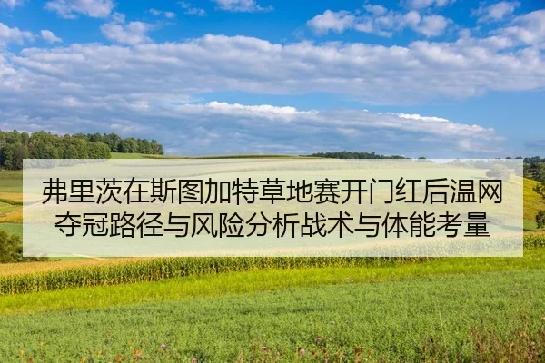fu-li-ci-zai-si-tu-jia-te-cao-di-sai-kai-men-hong-hou-wen-wang-duo-guan-lu-jing-yu-feng-xian-fen-xi-zhan-shu-yu-ti-neng-1-493.jpg